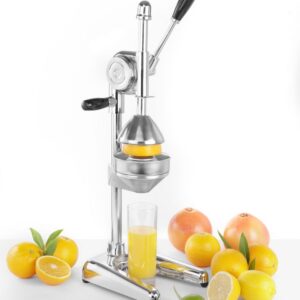 Tsitrusepress Hendi