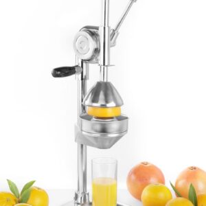 Tsitrusepress Hendi