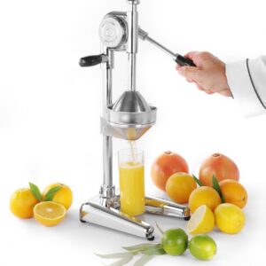 Tsitrusepress Hendi
