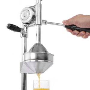 Tsitrusepress Hendi