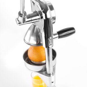 Tsitrusepress Hendi