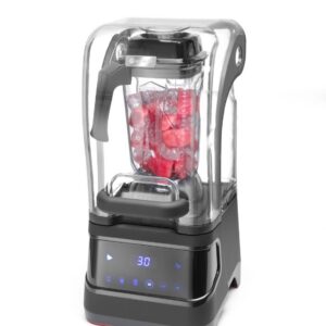 Blender Hendi Digital