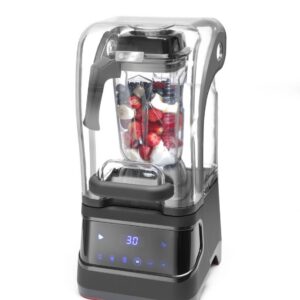 Blender Hendi Digital