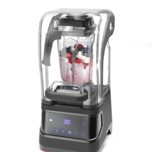 Blender Hendi Digital