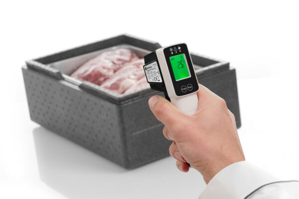 Infrapuna termomeeter sondiga