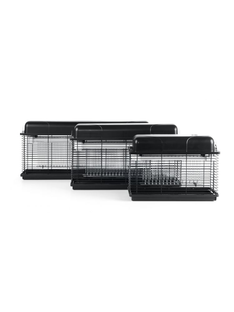 Kärbsepüüdja 100m²