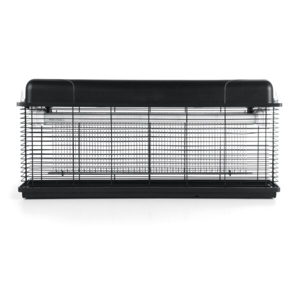 Kärbsepüüdja 150m²