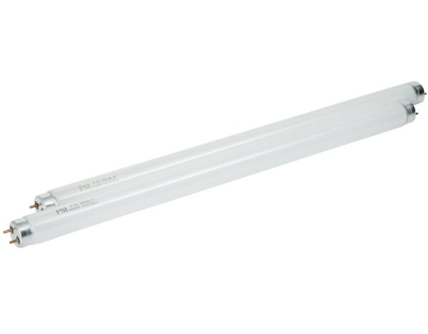 Kärbsepüüdja 100m²