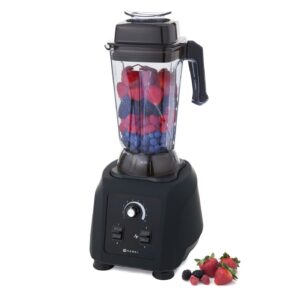 Blender Hendi 2,5L