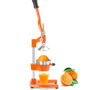 Tsitrusepress Hendi