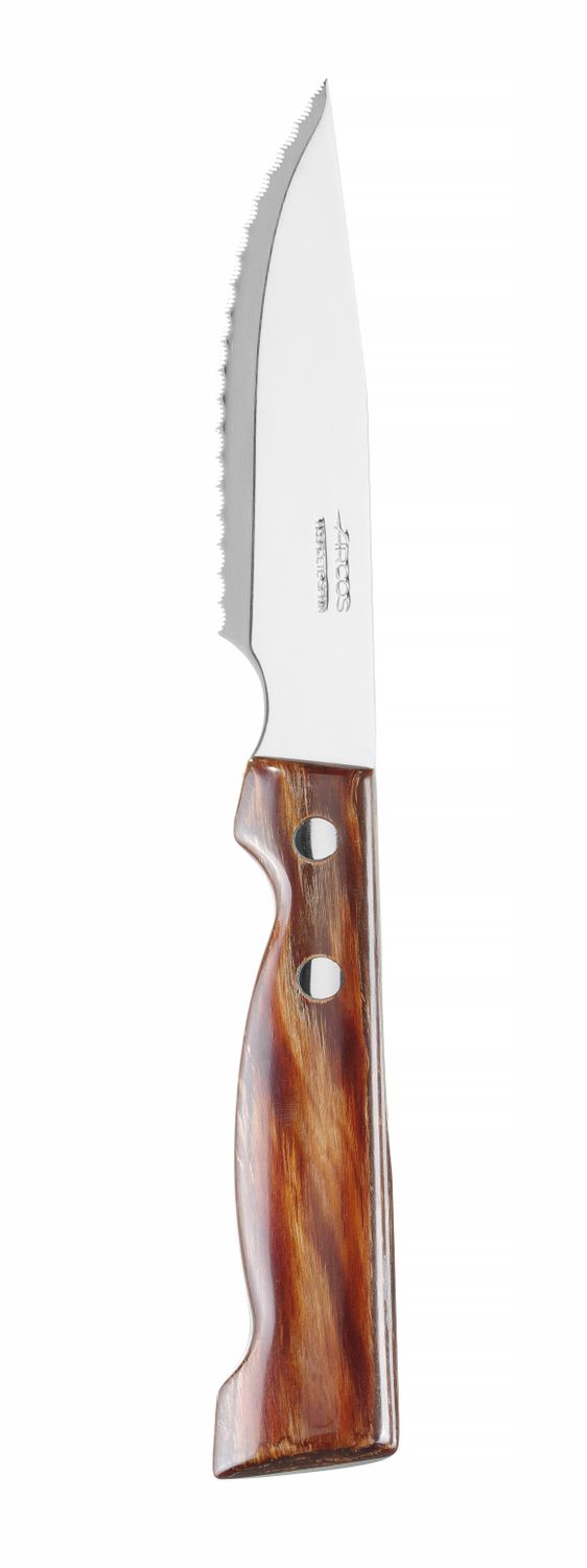 Steaknuga, FOREST seeria , Arcos, (L)240mm