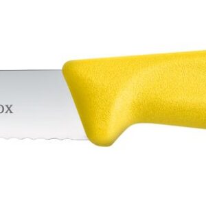 Juurviljanuga hambulise teraga, Victorinox, (L)212mm