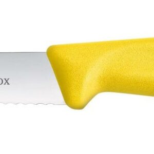 Juurviljanuga hambulise teraga, Victorinox, (L)212mm